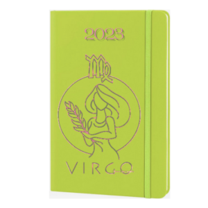 agenda VIRGO