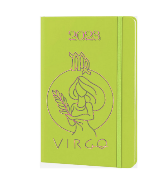 agenda VIRGO