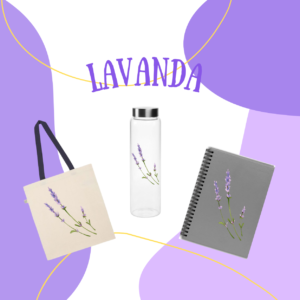 PACK LAVANDA